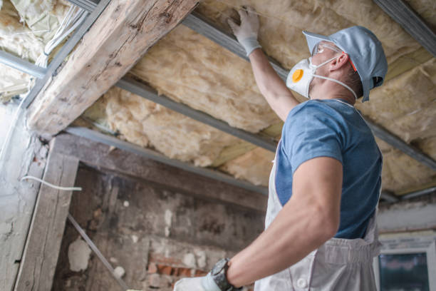 Best Insulation Maintenance and Repair in Nicholls, GA