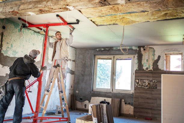 Best Insulation Maintenance and Repair in Nicholls, GA