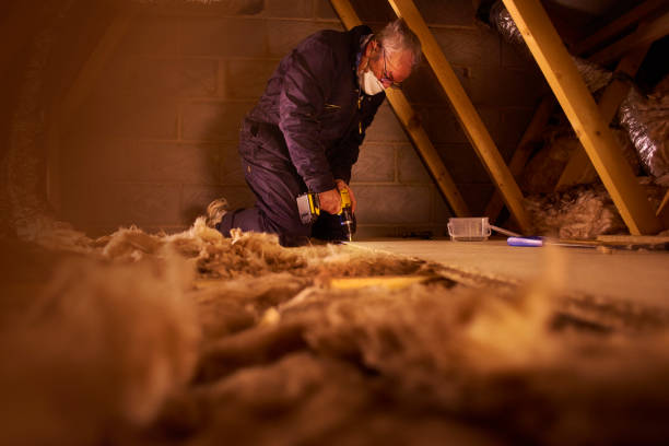 Best Residential Insulation in Nicholls, GA